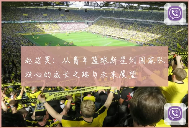 赵岩昊：从青年篮球新星到国家队核心的成长之路与未来展望