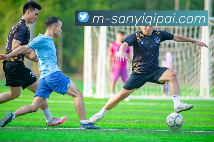 三亿棋牌平台生态图